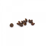 Baie de Timur VRAC 30g – Terre Exotique
