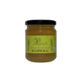 Gelée de fleur de sureau – Plantivore